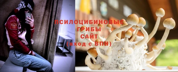 спиды Нефтекумск