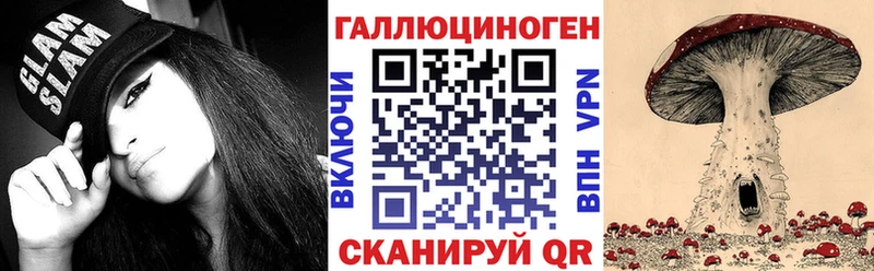 Галлюциногенные грибы Psilocybine cubensis Ирбит