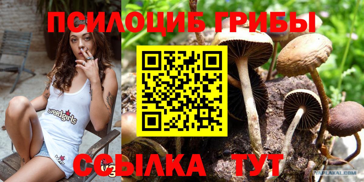 Псилоцибиновые грибы мицелий Ирбит