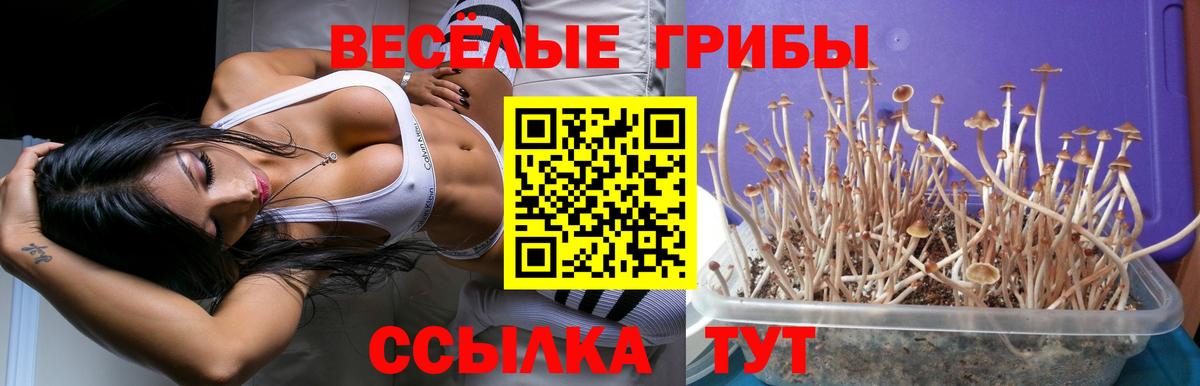 Ирбит  Галлюциногенные грибы ЛСД  Вход с VPN 